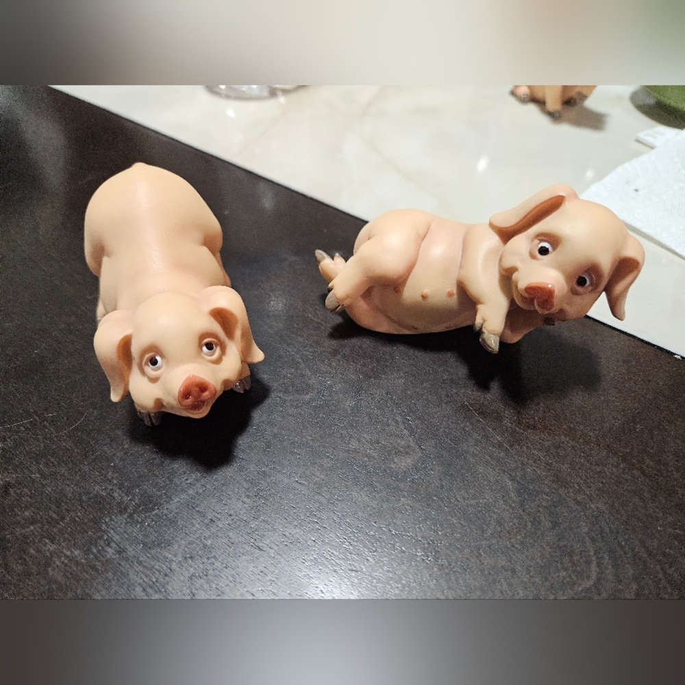 Wil 98 pigs